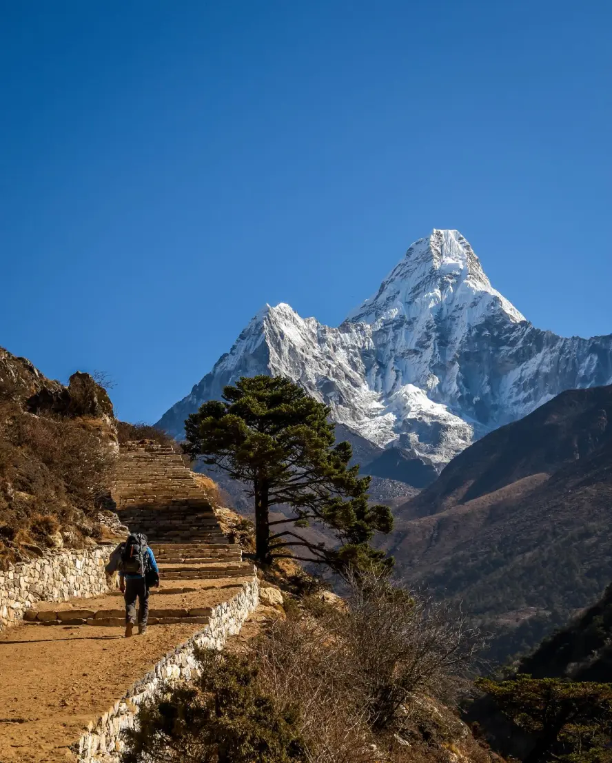 Trekker walking on a Himalayan trail with clear autumn views of snow-capped mountains in Nepal