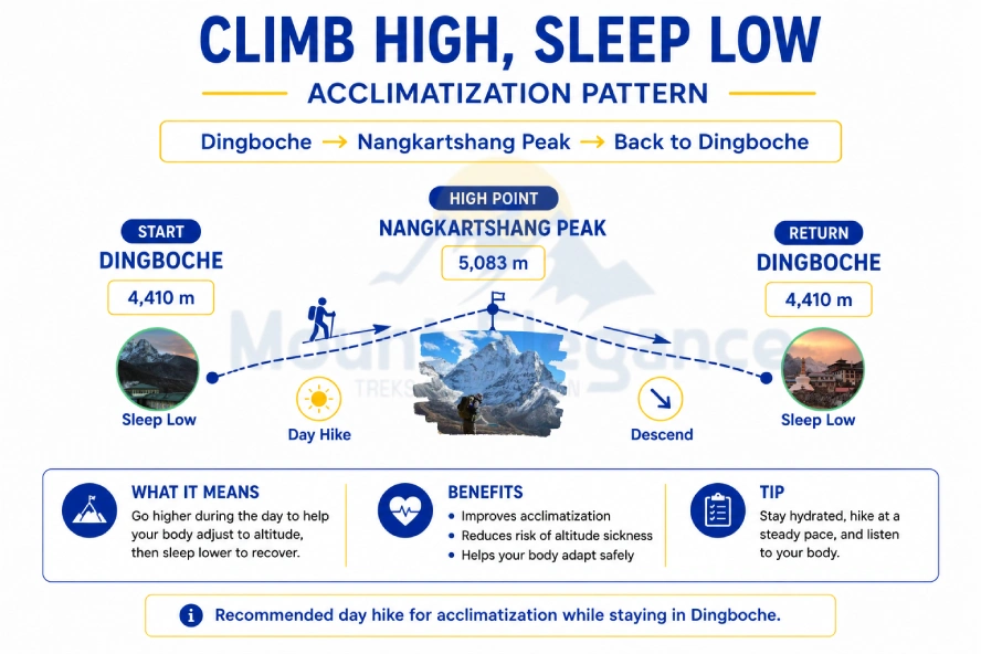 Diagram showing the climb-high-sleep-low acclimatization pattern from Dingboche to Nangkartshang Peak and back