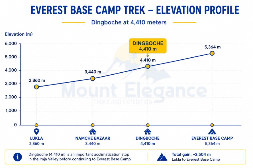 Elevation profile chart showing Dingboche at 4,410 meters along the Everest Base Camp trek route