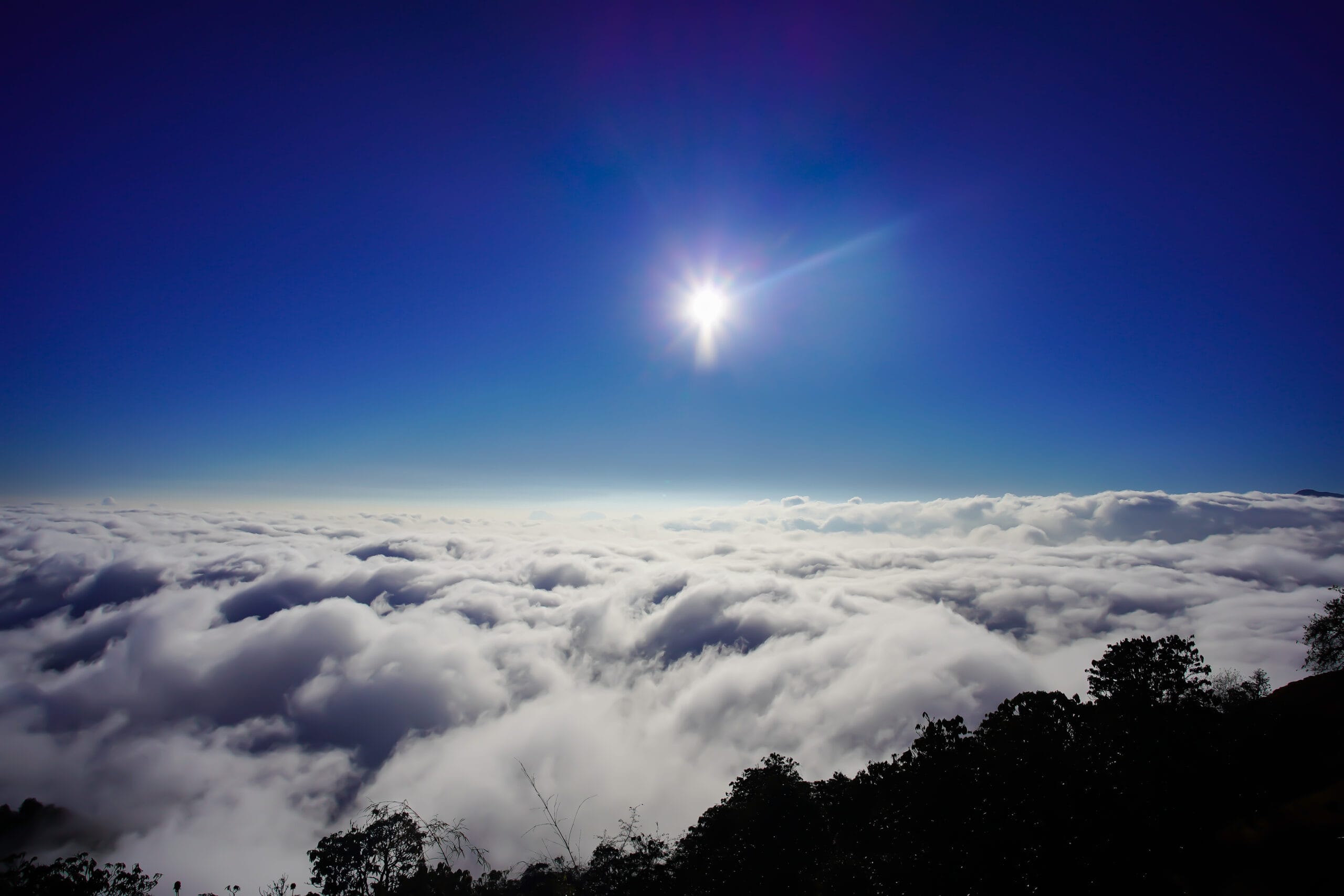 Ghorepani PoonHill Trek- 8 Days