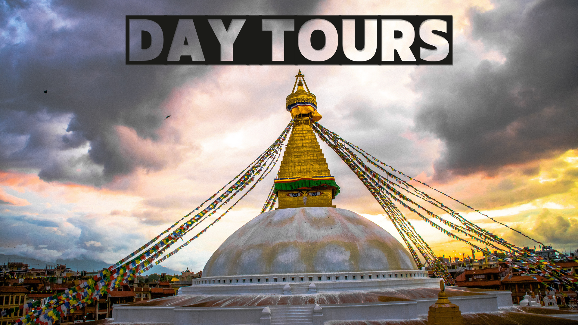 Day Tours