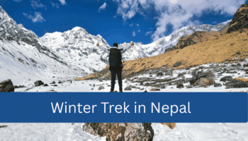 Winter Trek in Nepal: Where Snowy Trails Meet Epic Magic