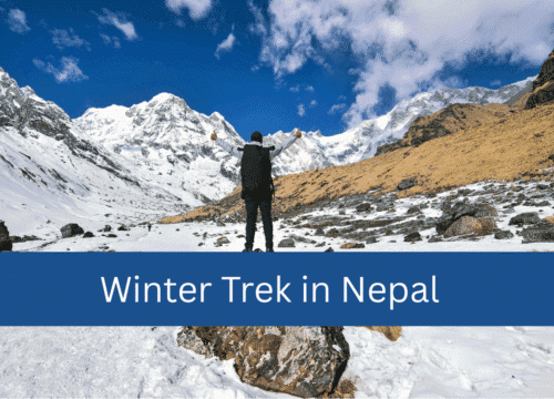 Winter Trek in Nepal: Where Snowy Trails Meet Epic Magic