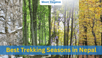 Best Trekking Seasons in Nepal: When to Plan Your Adventure