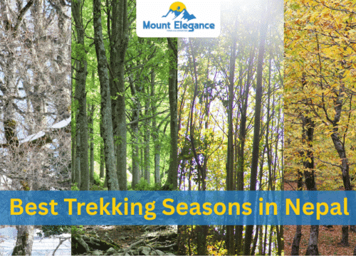 Best Trekking Seasons in Nepal: When to Plan Your Adventure
