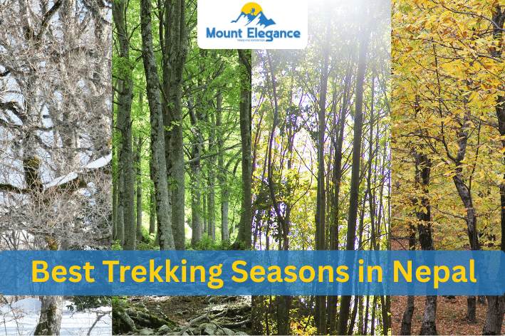 Best Trekking Seasons