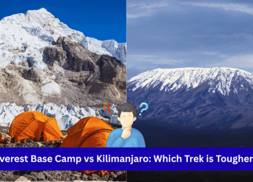 Everest Base Camp vs Kilimanjaro: Which Trek is Tougher?