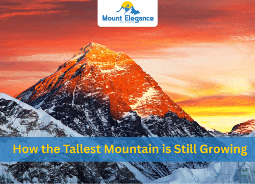 Tallest Mountain Everest’s Moving Summit: How It’s Still Growing