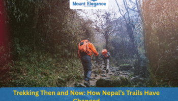 Trekking Then and Now: How Nepal’s Trails Have Changed (1990 vs 2025)
