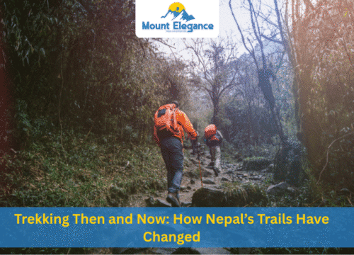 Trekking Then and Now: How Nepal’s Trails Have Changed (1990 vs 2025)