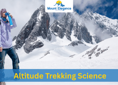 Altitude Trekking Science: High-Altitude Survival Secrets Revealed