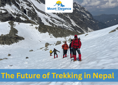 The Future of Trekking in Nepal: Trends, Challenges, and Opportunities