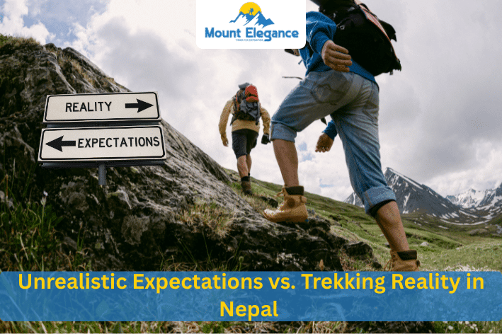 expectation vs. reality