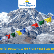 Beginner Mountaineers