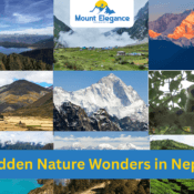 hidden nature wonder