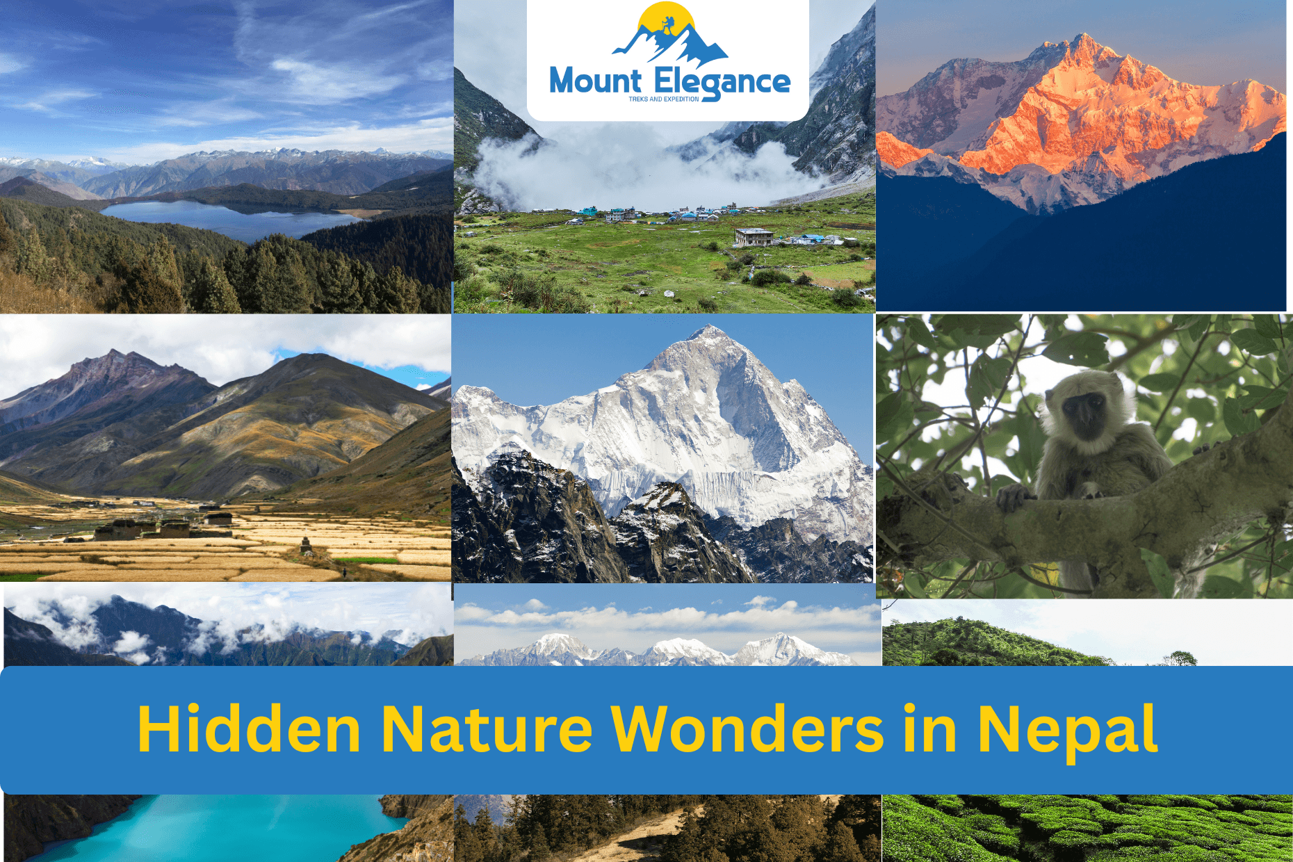hidden nature wonder