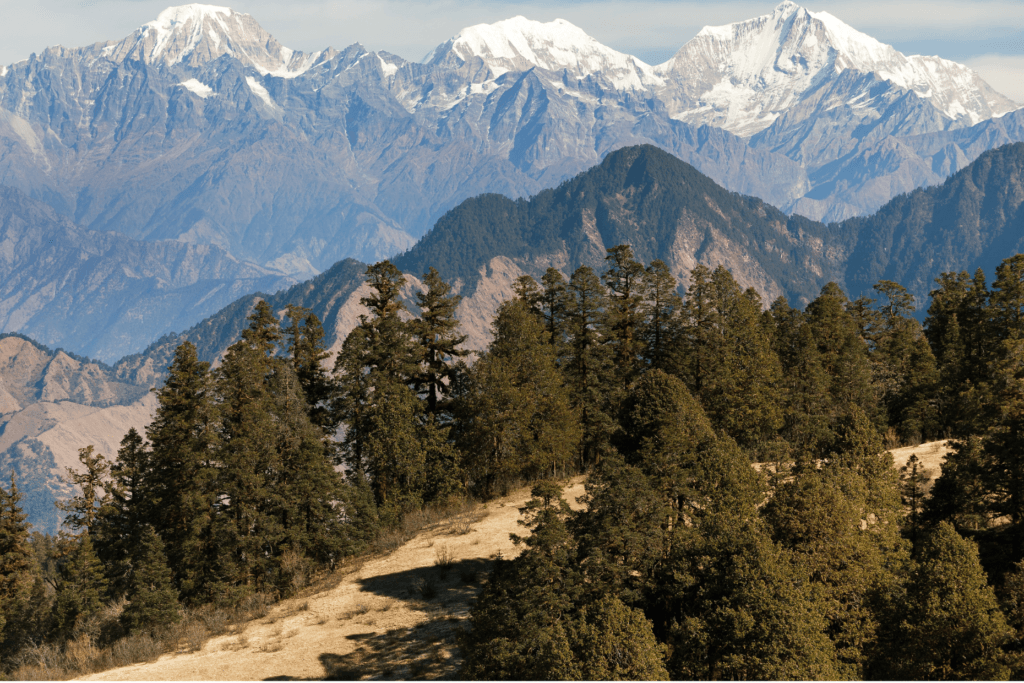 hidden nature wonder