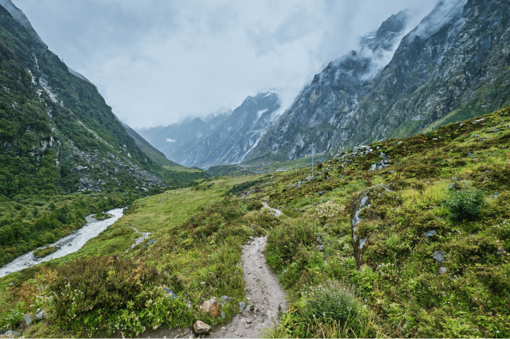 hidden nature wonder