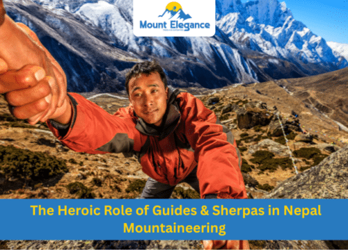 Unveiled: The Heroic Role of Guides & Sherpas in Nepal Mountaineering