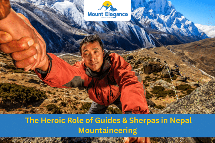 guides & Sherpas